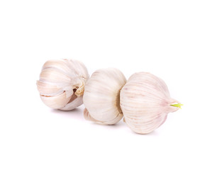 Head of garlic.