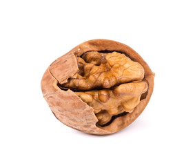 Close up of walnut