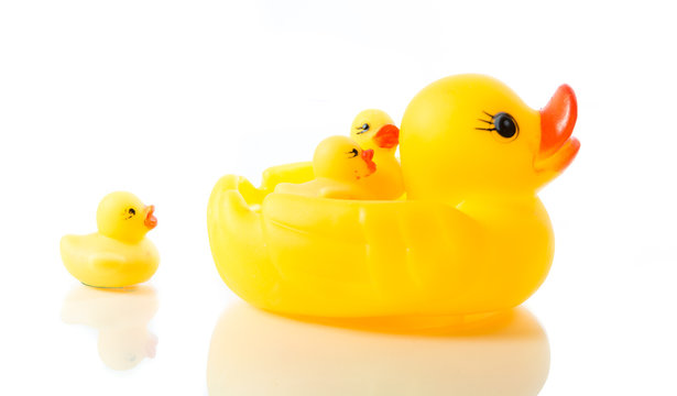 Yellow rubber duck isolate
