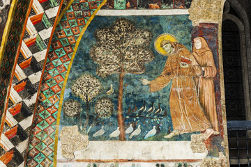Vogelpredigt des hl. Franziskus im Sacro Convento, Assisi, Umbrien, Italien - obrazy, fototapety, plakaty