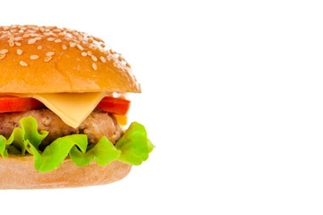 Big hamburger on white background