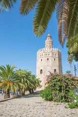 Fototapeta na wymiar Seville - The medieval tower Torre del Oro