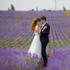 Wedding lavender field.