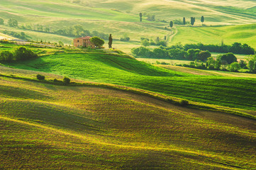 Fototapeta na wymiar Spring field around Pienza, on the road between Siena and Rome
