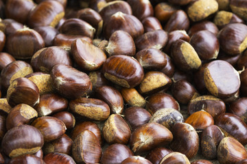 Chestnuts on market stall. Color image