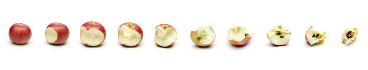 apple on the white background