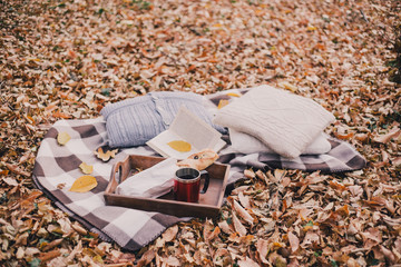still life with tea, french loaf, knitted pillows and book 