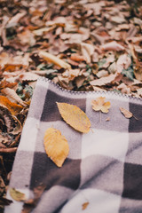 still life with tea, french loaf, knitted pillows and book 