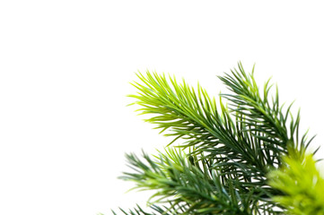 Obraz premium Christmas tree isolated on the white background