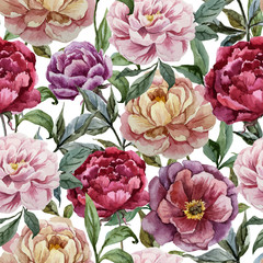 Beautiful vector watercolor pattern with peonies on white fon1