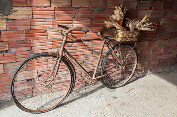 Fototapeta na wymiar Old bicycle wit a basket full of corncobs
