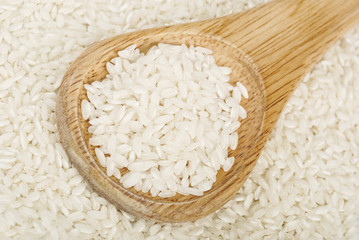 Wooden spoon full of carnaroli rice