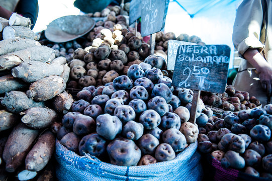 tuberi