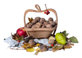 Autumn theme. Basket with nuts on white background