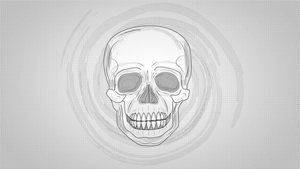 Illustration of Human Skull on shaded background