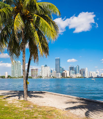 Miami Skyline - obrazy, fototapety, plakaty