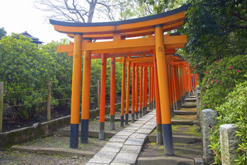 Rows of Torii gates, Nezu Shrine, Bunkyo, Tokyo, Japan.