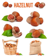 set of six compositions hazelnut isolated