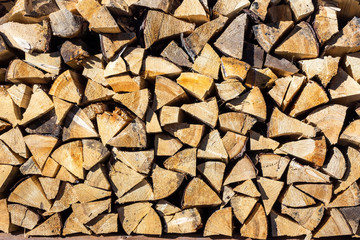 dry conifer firewood in sunlight