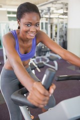 Fototapeta premium Fit woman working out on the exercise bike