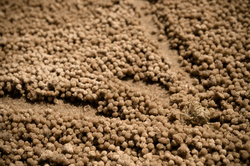 sand background