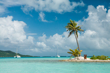 Sandy Island with a palm inside the lagoon