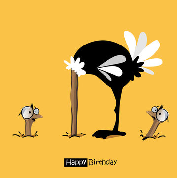 Happy Birthday birds smile birds ostrich