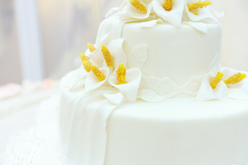 Wedding cake on light background