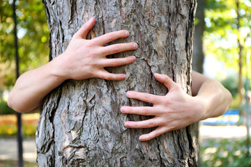 Person hugs trunk large tree, close-up