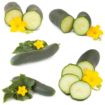 Collage of cucumber with flower, isolated on white background
