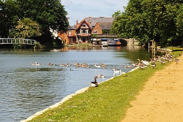 View along the River Thames, Oxford © Arena Photo UK