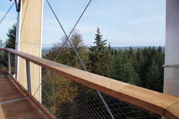 Ausblick auf die Baumwipfel