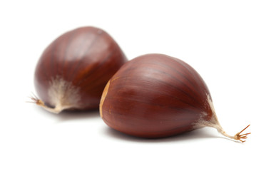 sweet chestnuts isolated on white