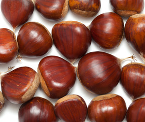 sweet chestnuts isolated on white