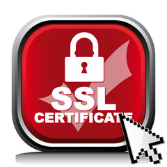 SSL CERTIFICATE ICON