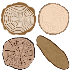 Wood texture and elements isolated. Vector illustration