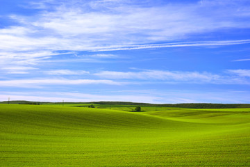 Fototapeta premium Tapis vallonné des campagnes du département de l'Yonne en région Bourgogne franche comté, France