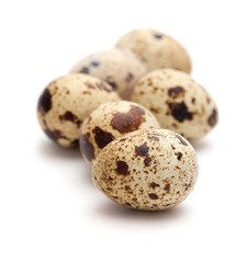 Obraz premium quail eggs isolated on white