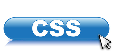 CSS ICON