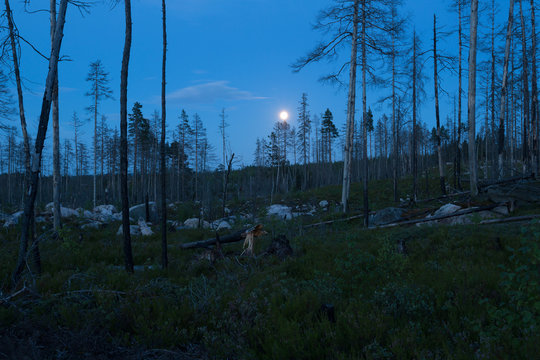 Night scene from Pajso, dalarna
