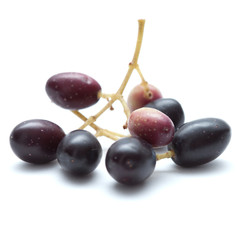 small branches with ripening olives isolated on white background