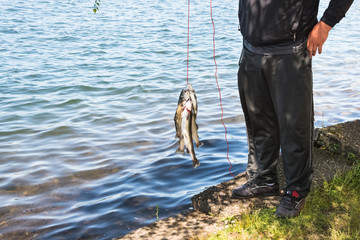 Sport  Fishrtmsn Holding  Fish Catch on Line by Lake © dplett