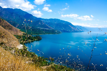 Fototapeta premium Shore at Lake Atitlan in Guatemala 