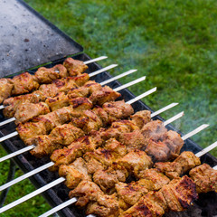 Grilled marinated caucasus barbecue meat shashlik