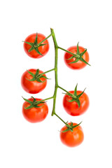 Tomato isolated on white