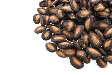 watermelon seed isolated on white background