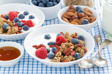 delicious breakfast with granola, berries and yogurt
