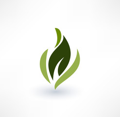 Leaf icons. Eco concept. Logo design.