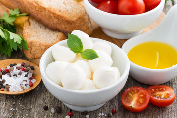 fresh mozzarella and ingredients for a salad, close-up