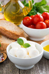 fresh mozzarella and ingredients for a salad, vertical